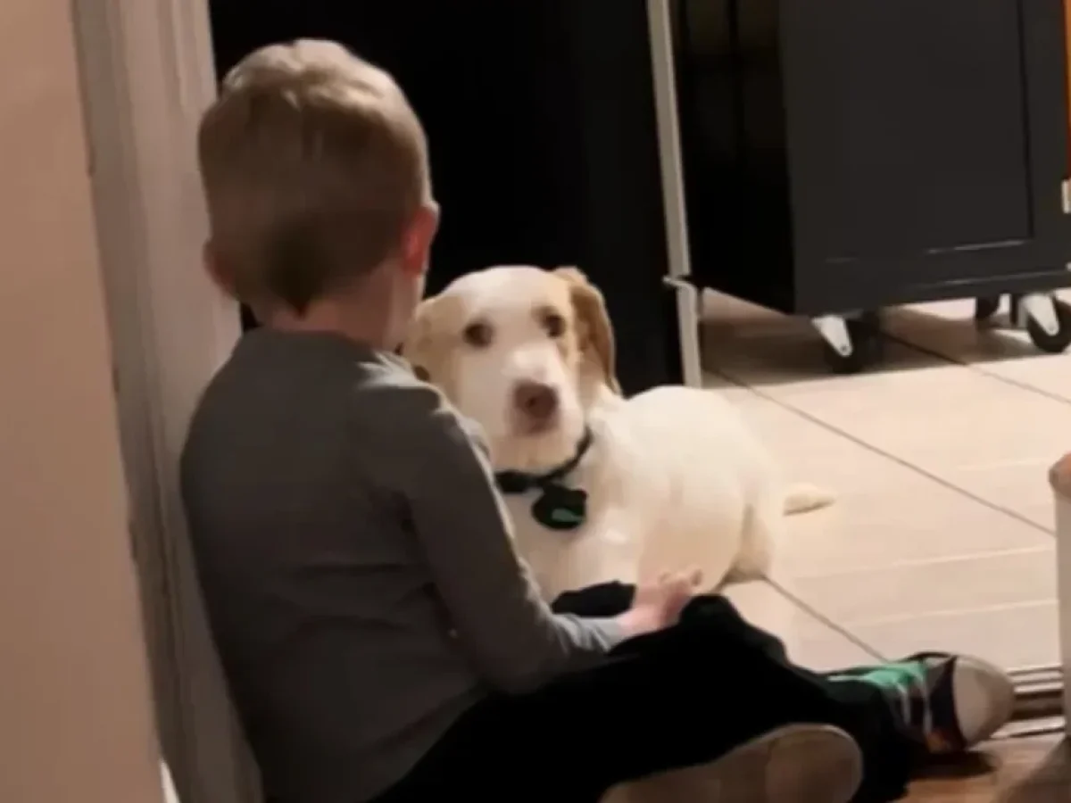 «Μην φύγεις… συμφωνείς;» Η κουβέντα 3χρονου με τον σκύλο του ραγίζει καρδιές