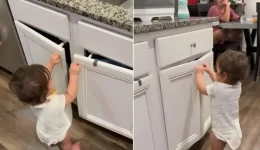 moro-vs-ntoulapia-to-baby-proof