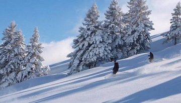 Τραγωδία στην Αυστρία: 13χρονος παρασύρθηκε από χιονοστιβάδα στις Άλπεις