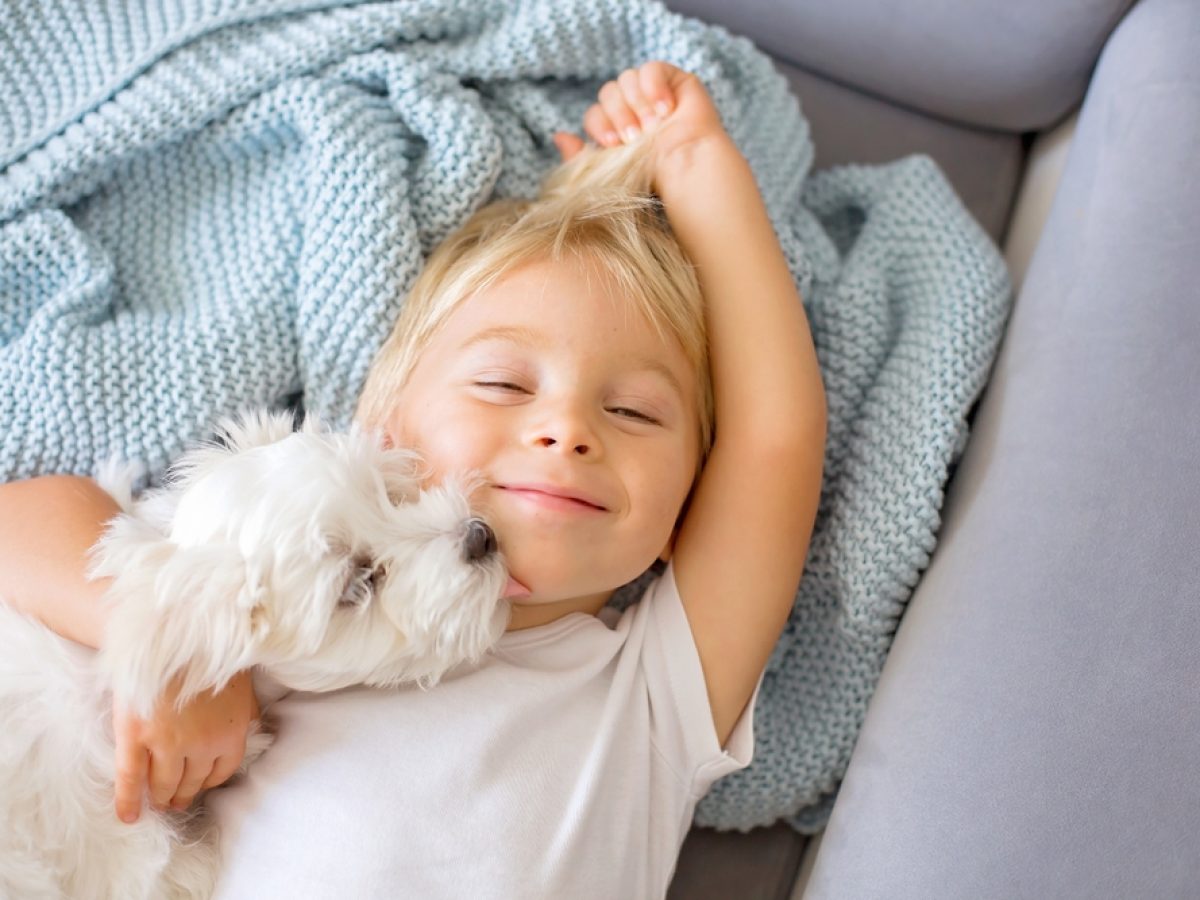 Τι κοινό έχει ένα κουτάβι με ένα νήπιο;