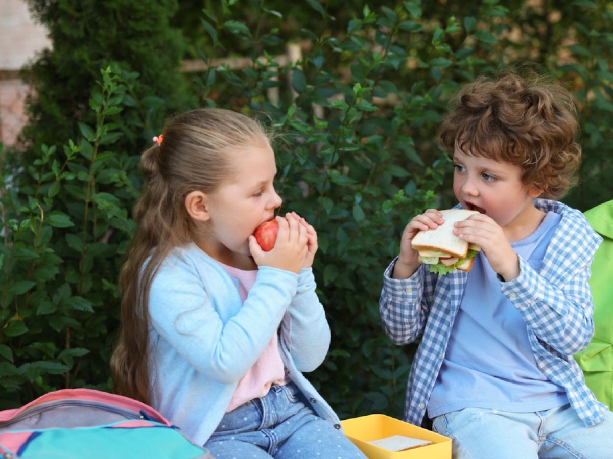 Σνακ για το σχολείο: Ιδέες για να αναβαθμίσετε τις κλασικές προτάσεις