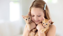 divmathenontas-sta-pedia-na-frontizoun