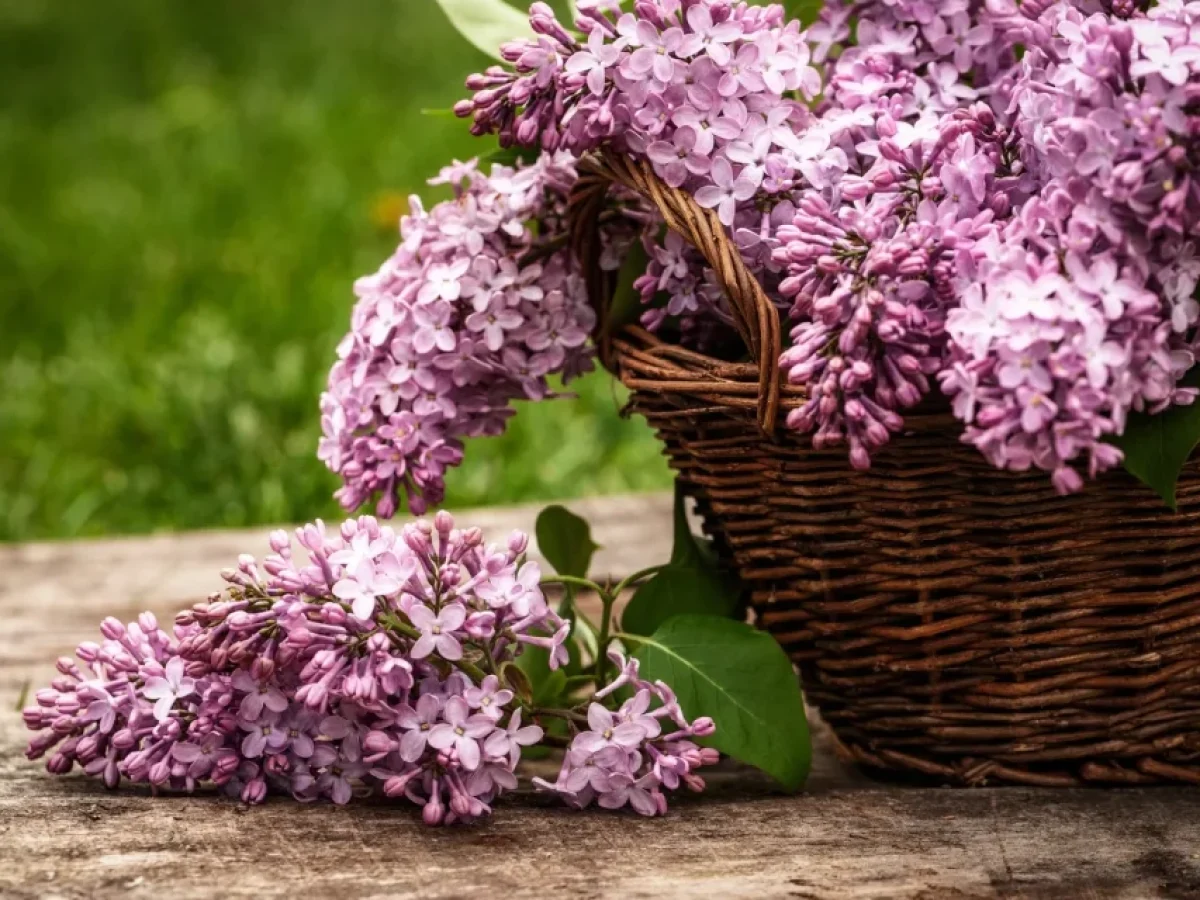 Κι όμως η Μεγάλη Παρασκευή έχει κάλαντα – Πώς θα εξηγήσουμε το νόημα της ημέρας στα παιδιά