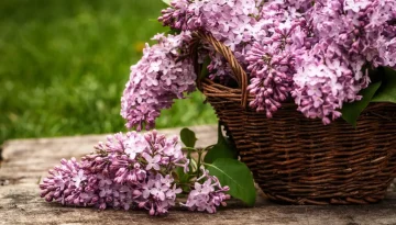 Κι όμως η Μεγάλη Παρασκευή έχει κάλαντα – Πώς θα εξηγήσουμε το νόημα της ημέρας στα παιδιά