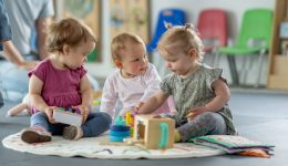 pechnidi-Kathoristikos-o-rolos-tou