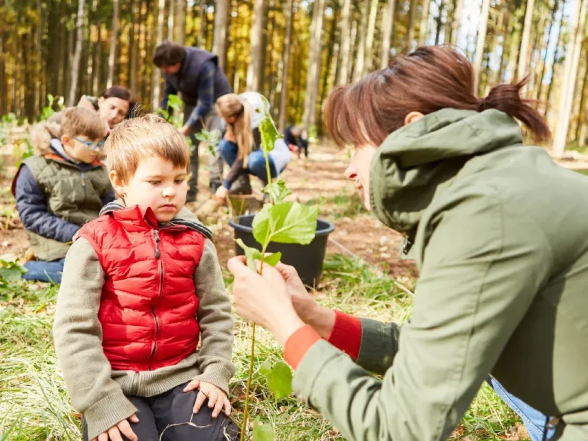 Τι έβαλαν οι Φινλανδοί στις αυλές των παιδικών σταθμών;  Ίσως σου φανεί λάθος, αλλά έχει επιστημονική βάση