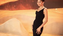 Zendaya-o-noumero-1-kanonas