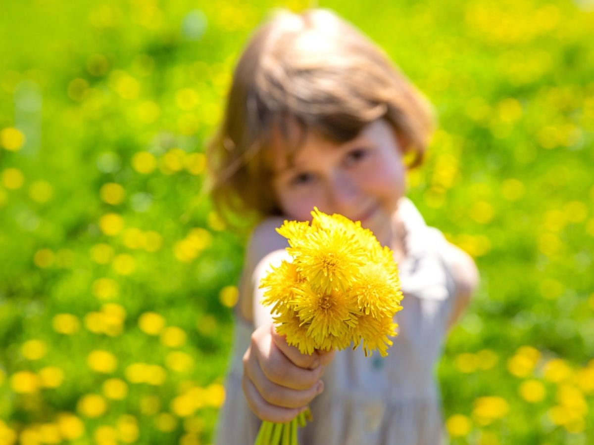 Dandelion children: Έχουν την ανθεκτικότητα στο DNA τους