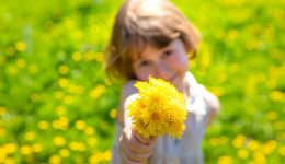 Dandelion-children-echoun-tin-anthektikotita