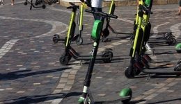 patinia-4