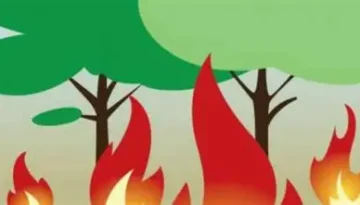 Επιπτώσεις στην υγεία και το περιβάλλον, από ρίψη επιβραδυντικού υλικού στην κατάσβεση πυρκαγιών – Iliaktida