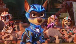 paw-8