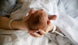 infant-head-resting-in-adult-s-hands-in-hospital-2026-09-22-16-42-24-utc